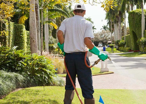 About Kincaid IL Pest Control